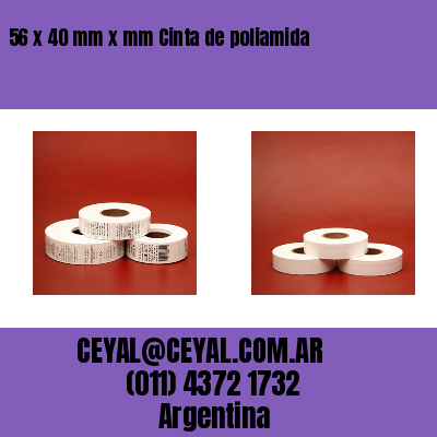 56 x 40 mm x mm Cinta de poliamida