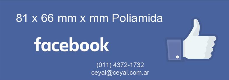 81 x 66 mm x mm Poliamida