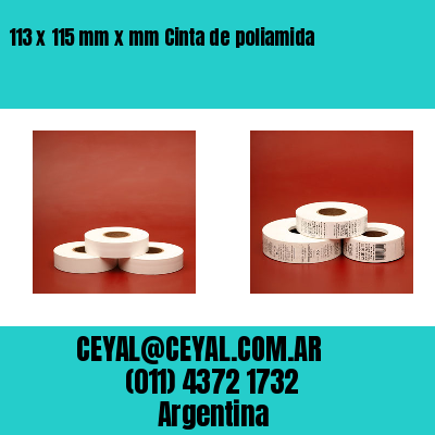 113 x 115 mm x mm Cinta de poliamida