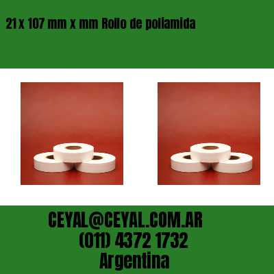 21 x 107 mm x mm Rollo de poliamida