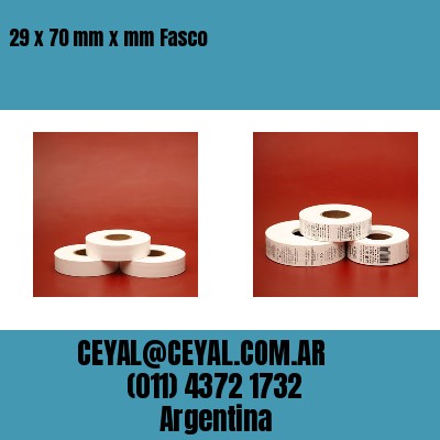 29 x 70 mm x mm Fasco