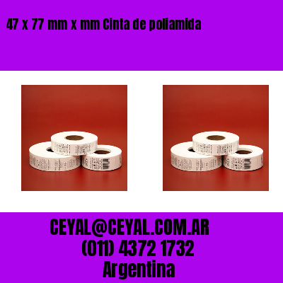 47 x 77 mm x mm Cinta de poliamida