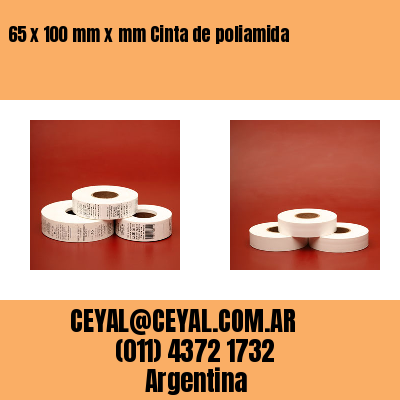 65 x 100 mm x mm Cinta de poliamida