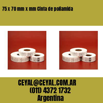 75 x 70 mm x mm Cinta de poliamida