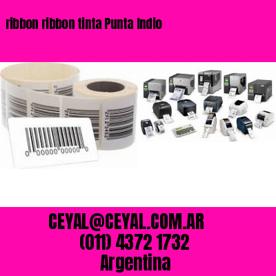 ribbon ribbon tinta Punta Indio