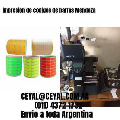 impresion de codigos de barras Mendoza