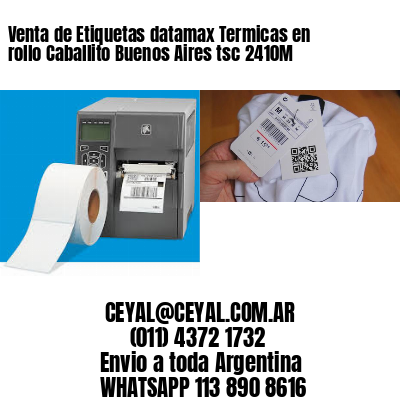 Venta de Etiquetas datamax Termicas en rollo Caballito Buenos Aires tsc 2410M