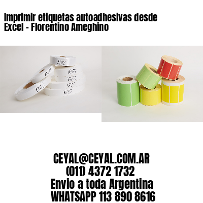 Imprimir etiquetas autoadhesivas desde Excel - Florentino Ameghino