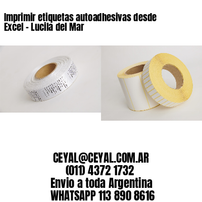Imprimir etiquetas autoadhesivas desde Excel - Lucila del Mar