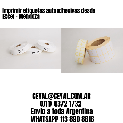 Imprimir etiquetas autoadhesivas desde Excel - Mendoza