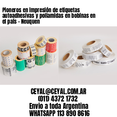 Pioneros en impresión de etiquetas autoadhesivas y poliamidas en bobinas en el país – Neuquen