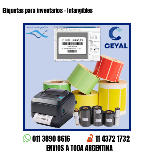Etiquetas para inventarios – Intangibles