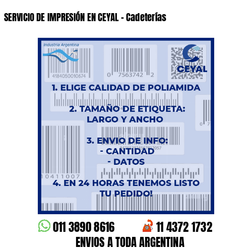 SERVICIO DE IMPRESIÓN EN CEYAL – Cadeterías