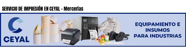SERVICIO DE IMPRESIÓN EN CEYAL - Mercerías