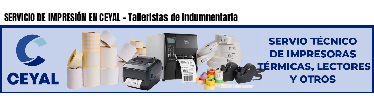 SERVICIO DE IMPRESIÓN EN CEYAL - Talleristas de indumnentaria