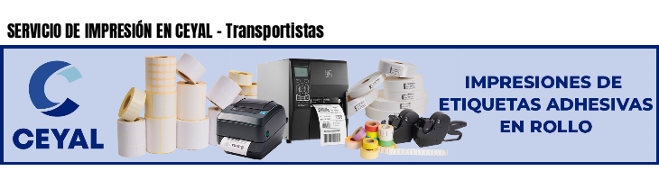 SERVICIO DE IMPRESIÓN EN CEYAL - Transportistas