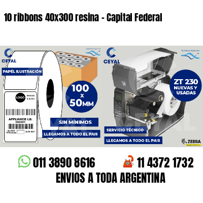 10 ribbons 40x300 resina - Capital Federal