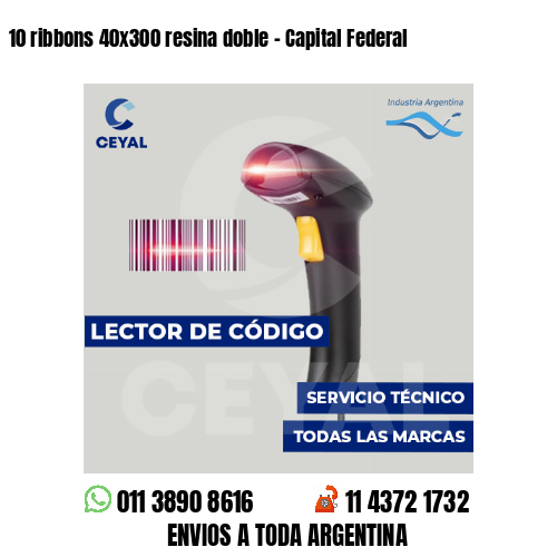10 ribbons 40x300 resina doble - Capital Federal