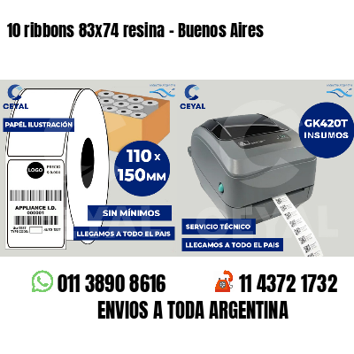 10 ribbons 83x74 resina - Buenos Aires