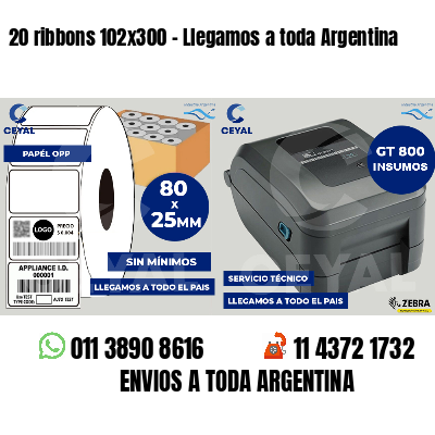 20 ribbons 102x300 - Llegamos a toda Argentina