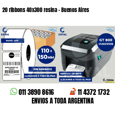 20 ribbons 40x300 resina - Buenos Aires