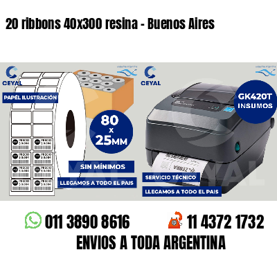 20 ribbons 40x300 resina - Buenos Aires