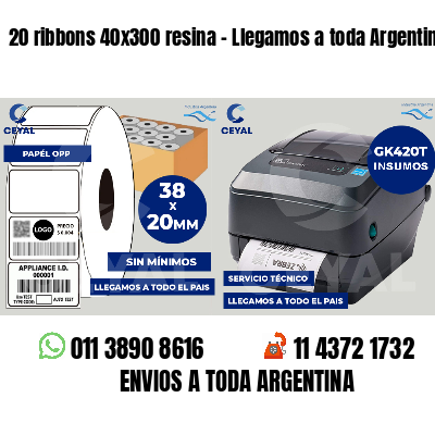 20 ribbons 40x300 resina - Llegamos a toda Argentina