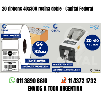 20 ribbons 40x300 resina doble - Capital Federal