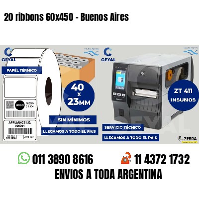 20 ribbons 60x450 - Buenos Aires