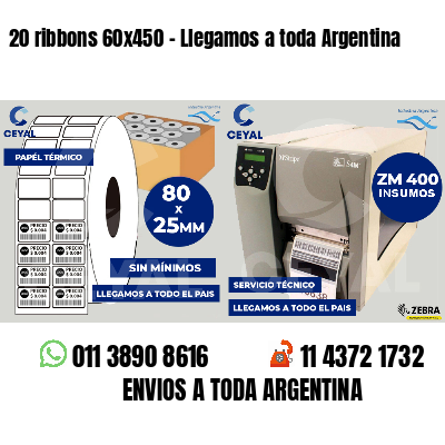 20 ribbons 60x450 - Llegamos a toda Argentina