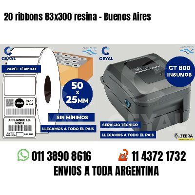 20 ribbons 83x300 resina - Buenos Aires
