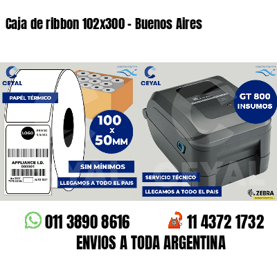 Caja de ribbon 102x300 - Buenos Aires