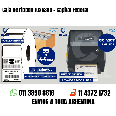 Caja de ribbon 102x300 - Capital Federal