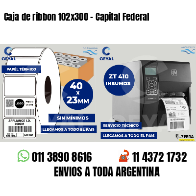 Caja de ribbon 102x300 - Capital Federal
