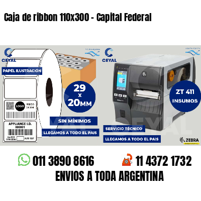 Caja de ribbon 110x300 - Capital Federal