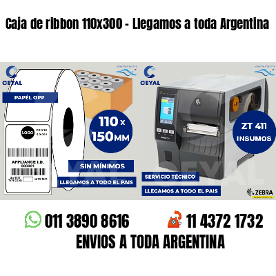 Caja de ribbon 110x300 - Llegamos a toda Argentina