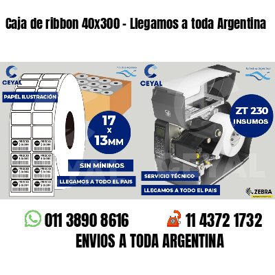 Caja de ribbon 40x300 - Llegamos a toda Argentina