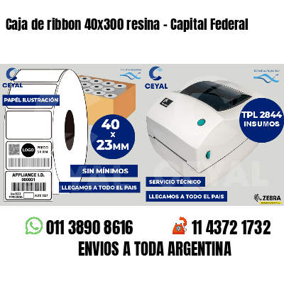 Caja de ribbon 40x300 resina - Capital Federal