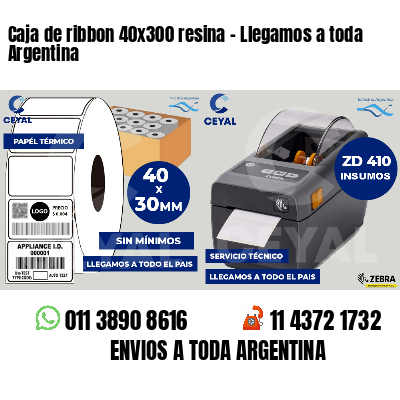 Caja de ribbon 40x300 resina - Llegamos a toda Argentina