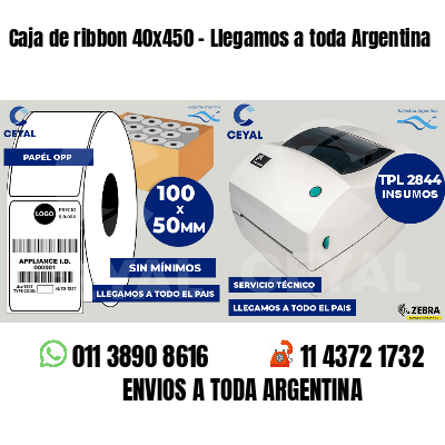 Caja de ribbon 40x450 - Llegamos a toda Argentina