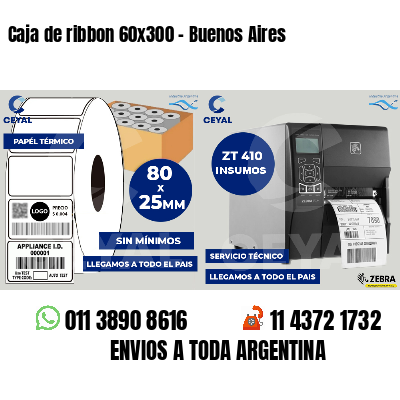 Caja de ribbon 60x300 - Buenos Aires