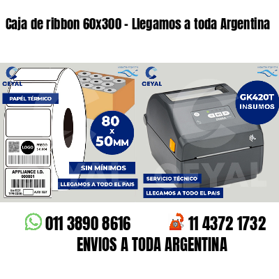 Caja de ribbon 60x300 - Llegamos a toda Argentina