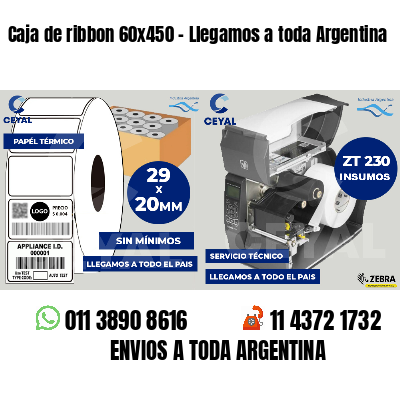 Caja de ribbon 60x450 - Llegamos a toda Argentina