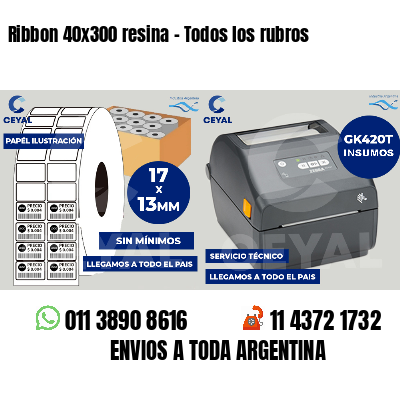 Ribbon 40x300 resina - Todos los rubros