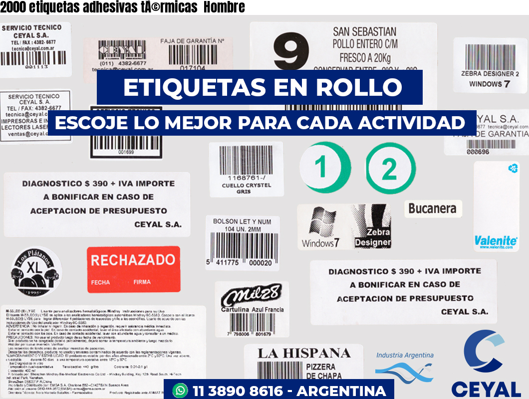 2000 etiquetas adhesivas tÃ©rmicas  Hombre