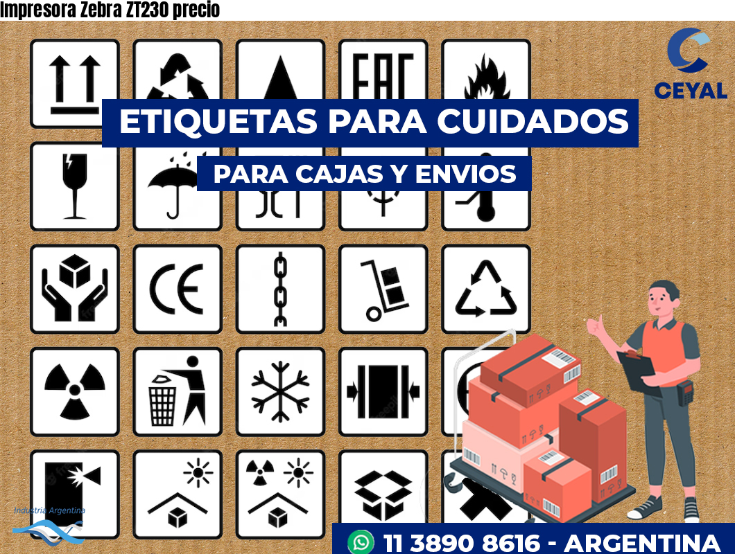 Impresora Zebra ZT230 precio