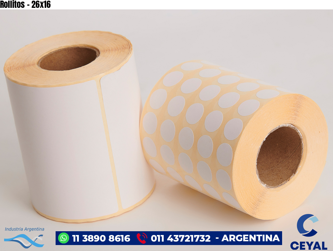 Rollitos - 26x16
