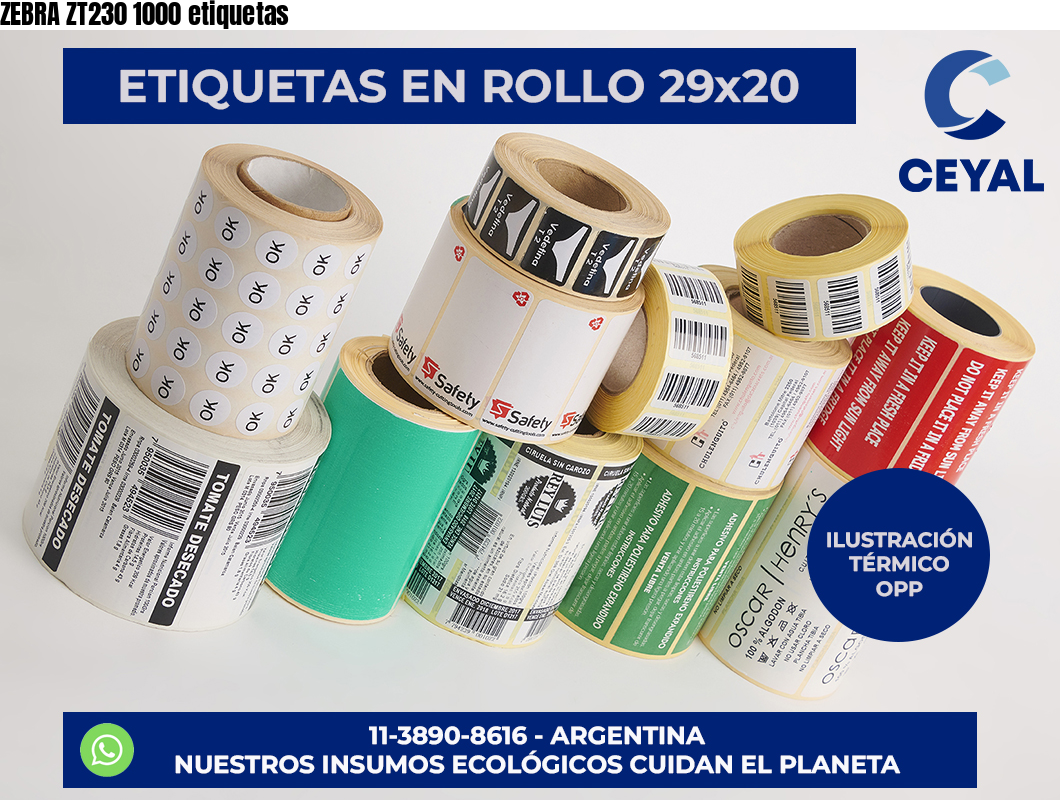 ZEBRA ZT230 1000 etiquetas