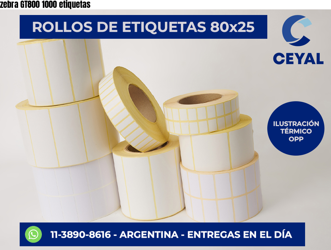 zebra GT800 1000 etiquetas