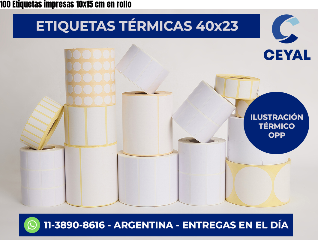 100 Etiquetas impresas 10×15 cm en rollo